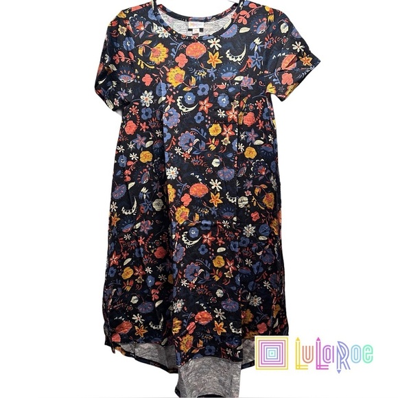 LulaRoe Carly Swing Dress Front Pocket Loose & Relaxed Fit Stretchy NWT 2-4 - Picture 1 of 12